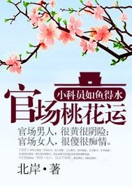 官道之步步高昇/官場桃花運