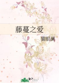 藤蔓之爱